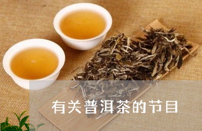 有关普洱茶的节目/2023040933037