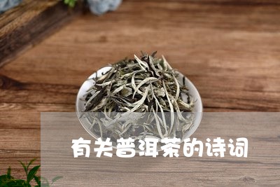 有关普洱茶的诗词/2023031718693