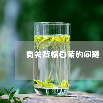 有关紫娟白茶的问题/2023032129261