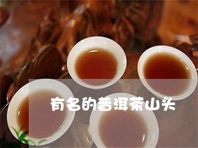 有名的普洱茶山头/2023041313805