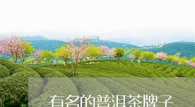 有名的普洱茶牌子/2023031741616