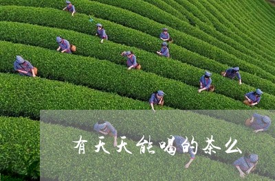 有天天能喝的茶么/2023032270692