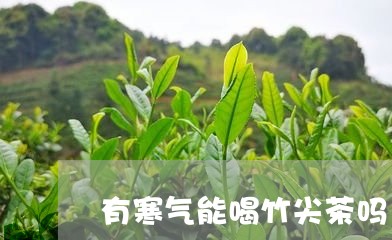 有寒气能喝竹尖茶吗/2023031862705