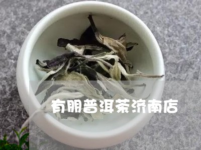 有朋普洱茶济南店/2023040187261