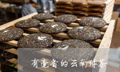 有毫香的云南绿茶/2023032505949