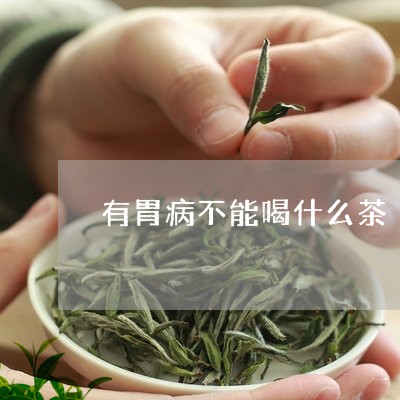 有胃病不能喝什么茶/2023032073726