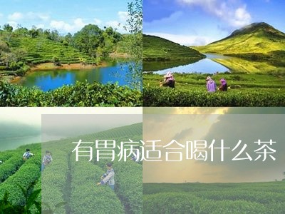 有胃病适合喝什么茶/2023041532704