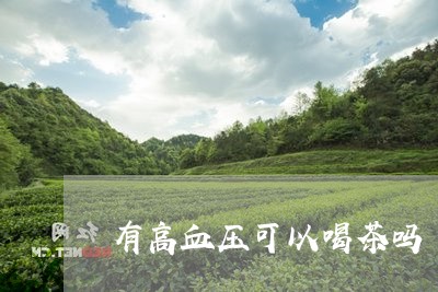 有高血压可以喝茶吗/2023041679524