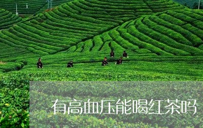 有高血压能喝红茶吗/2023041564717