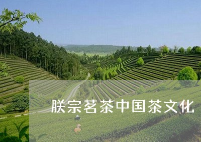 朕宗茗茶中国茶文化/2023041701916