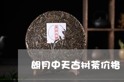 朗月中天古树茶价格/2023032171937