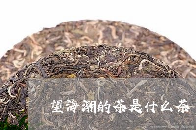 望海潮的茶是什么茶/2023041556261