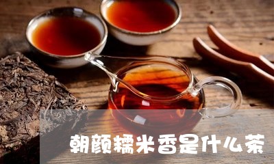 朝颜糯米香是什么茶/2023041530750