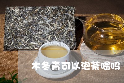 木冬青可以泡茶喝吗/2023041651693