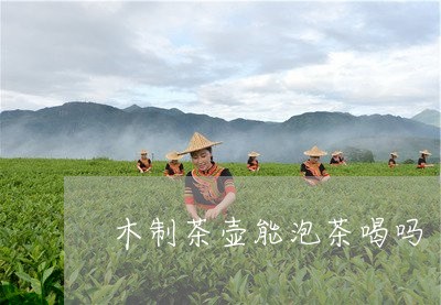 木制茶壶能泡茶喝吗/2023041682605