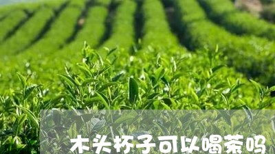 木头杯子可以喝茶吗/2023032003615