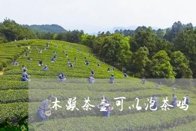 木头茶壶可以泡茶吗/2023032085948