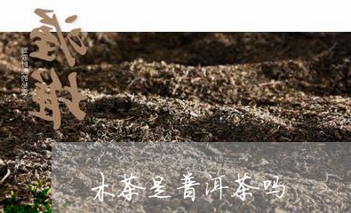 木茶是普洱茶吗/2023041138604