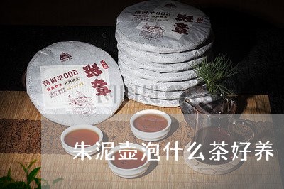 朱泥壶泡什么茶好养/2023031960895