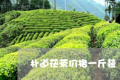 朴道茯茶价格一斤装/2023032102803