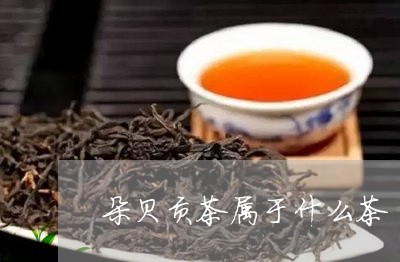 朵贝贡茶属于什么茶/2023041585260