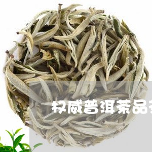 权威普洱茶品茶师/2023041071916