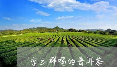 李立群喝的普洱茶/2023031827402