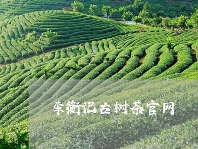 李衡记古树茶官网/2023032658269