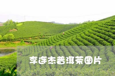 李连杰普洱茶图片/2023041007269