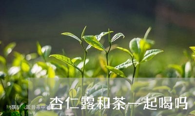 杏仁露和茶一起喝吗/2023041458469