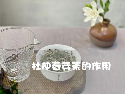 杜仲春芽茶的作用/2023032434916