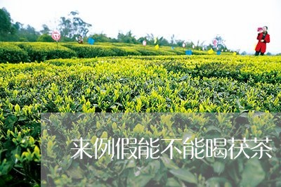 来例假能不能喝茯茶/2023041423705