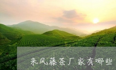 来凤藤茶厂家有哪些/2023041603928