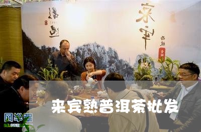 来宾熟普洱茶批发/2023040994048