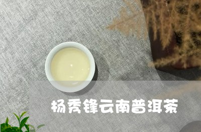 杨秀锋云南普洱茶/2023040171684