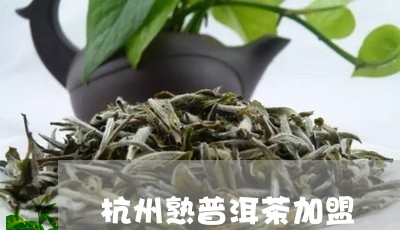 杭州熟普洱茶加盟/2023033037673