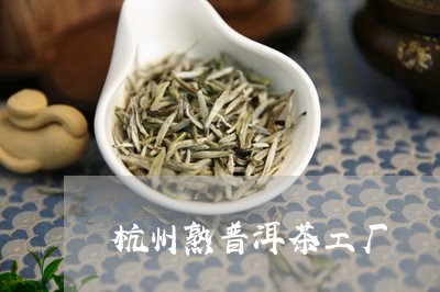 杭州熟普洱茶工厂/2023031601727