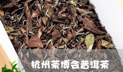 杭州茶博会普洱茶/2023031593947