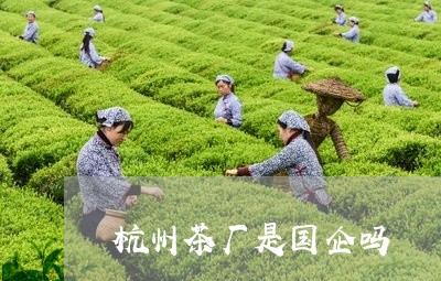 杭州茶厂是国企吗/2023032475058