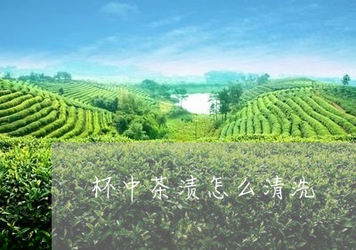 杯中茶渍怎么清洗/2023032550625