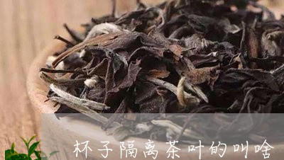 杯子隔离茶叶的叫啥/2023032225148