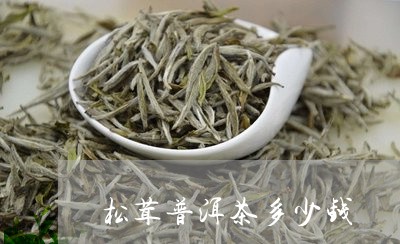 松茸普洱茶多少钱/2023033138361