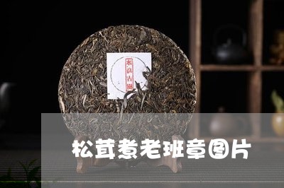 松茸煮老班章图片/2023032940493