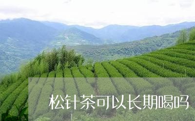 松针茶可以长期喝吗/2023031829614