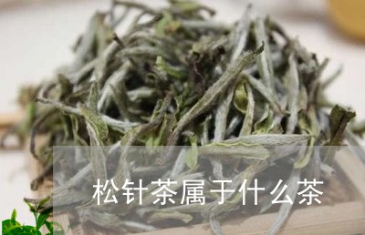 松针茶属于什么茶/2023032486138