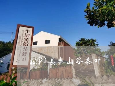 松阳县春山谷茶叶/2023032763956