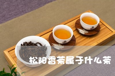 松阳香茶属于什么茶/2023041545138