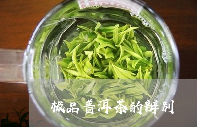 极品普洱茶的辨别/2023041023815