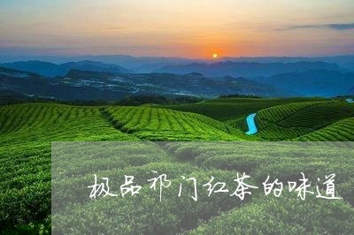 极品祁门红茶的味道/2023041745158