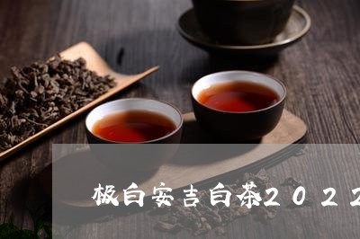 极白安吉白茶2022新茶/2023033039583